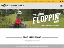 Tablet Screenshot of diamondarchery.com